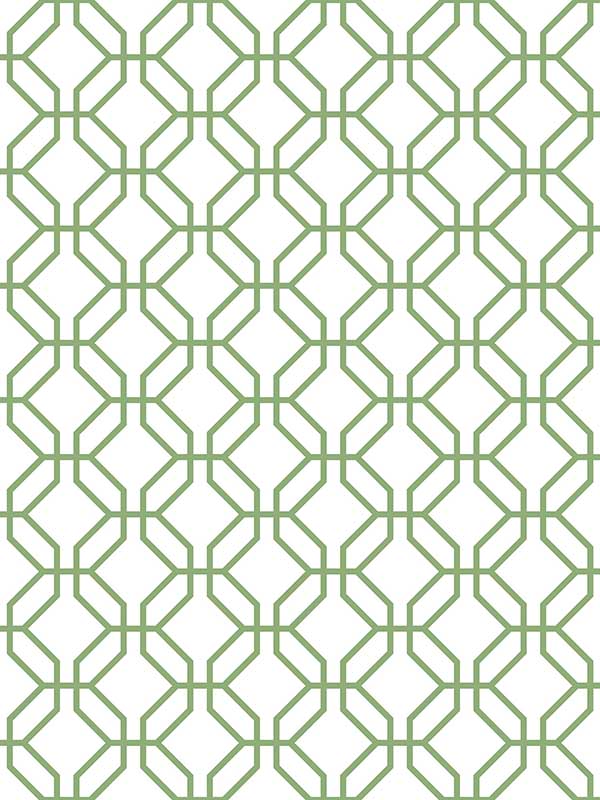 Trellis Positive wallpaper in fresh green color - pattern number G78528 - by Galerie in the Secret Garden collection