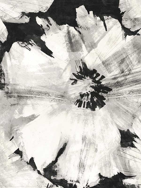 Graphic Floral Peel and Stick wallpaper in ebony and champagne color - pattern number NW49200 - by NextWall in the Peel and Stick Wallpaper by Nextwall collection