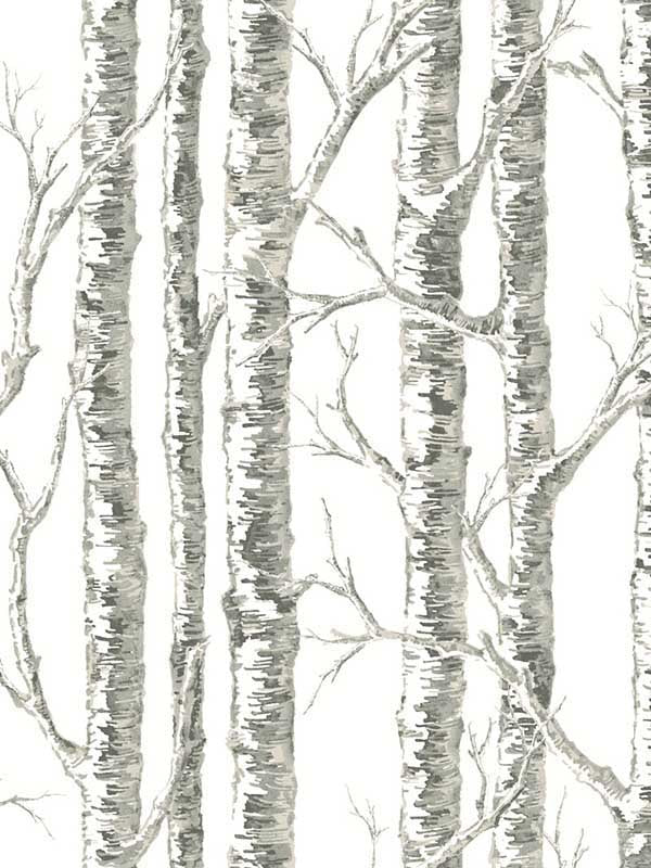 Paper Birch fabric in white and grey color - pattern number BW3901 - by York in the Inspired by Color Beige and Neutrals collection