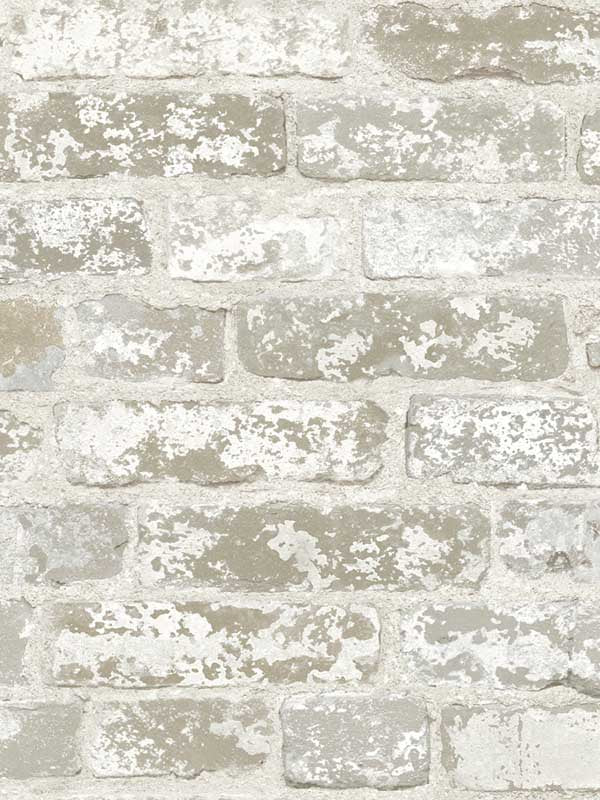 Up the Wall wallpaper in off white and grey color - pattern number RB4304 - by York in the Inspired by Color Beige and Neutrals collection