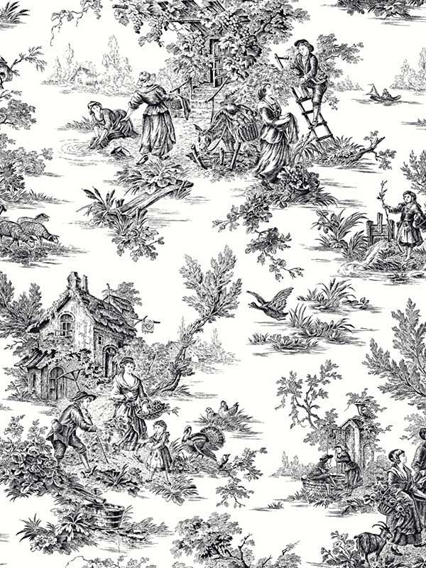 Campagne Toile fabric in black and white color - pattern number AT4228 - by York in the Inspired by Color Black and White III collection