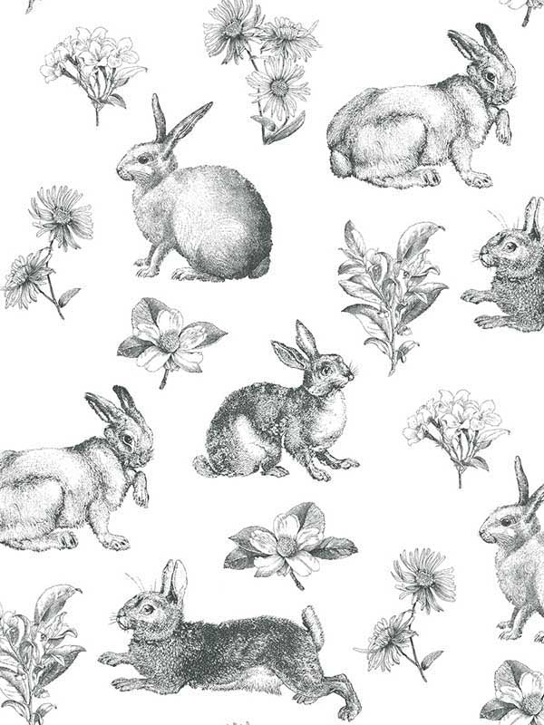 Bunny Toile fabric in black and white color - pattern number AT4263 - by York in the Inspired by Color Black and White III collection