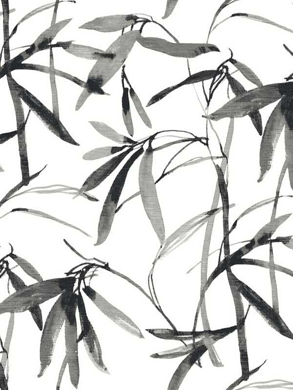 Bamboo Ink fabric in black and white color - pattern number BW3843 - by York in the Inspired by Color Black and White III collection