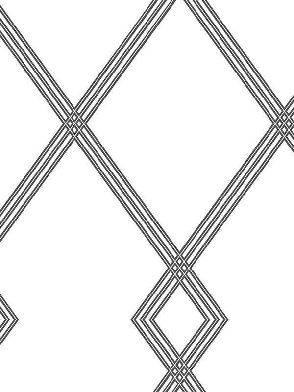 Ribbon Stripe Trellis fabric in white and black color - pattern number CY1509 - by York in the Inspired by Color Black and White III collection