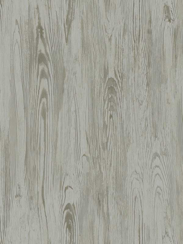 Rusticano wallpaper in grey color - pattern number MN1953 - by York in the Inspired by Color Black and White III collection