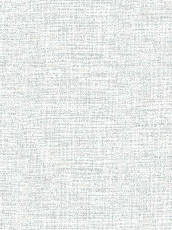 Papyrus Weave wallpaper in blue color - pattern number MN1931 - by York in the Inspired by Color Blues II collection