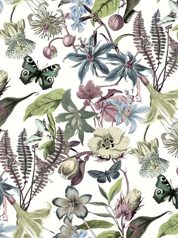 Butterfly House fabric in white and fuchsia color - pattern number BL1721 - by York in the Blooms Second Edition collection