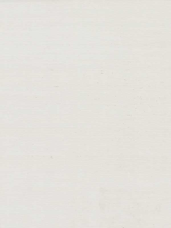 Makasa Sisal fabric in white color - pattern number VG0000 - by York in the Blooms Second Edition collection