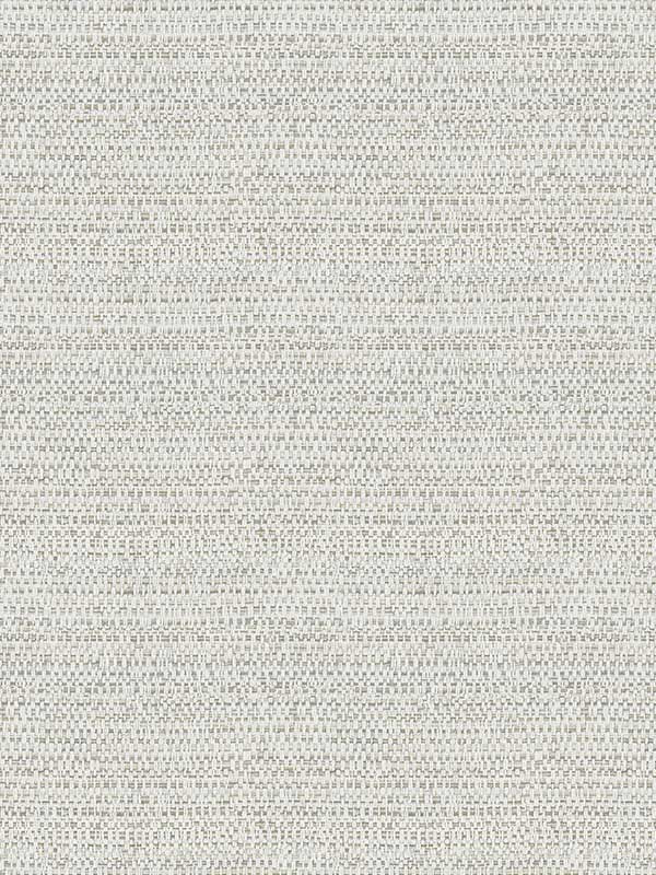 Balantine Weave fabric in grey color - pattern number 4071-70058 - by Chesapeake in the Blue Heron collection