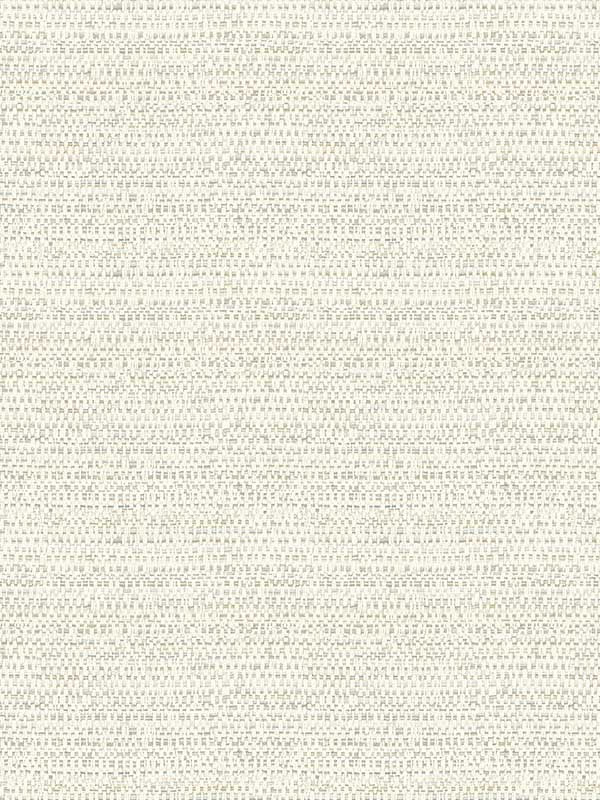 Balantine Weave fabric in neutral color - pattern number 4071-70060 - by Chesapeake in the Blue Heron collection