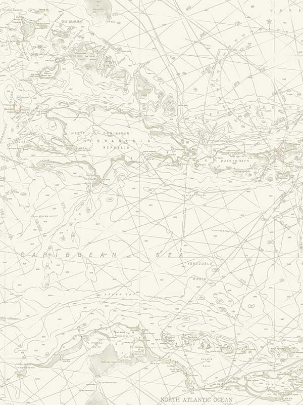 Charts Nautical Chart fabric in taupe color - pattern number 4071-71057 - by Chesapeake in the Blue Heron collection