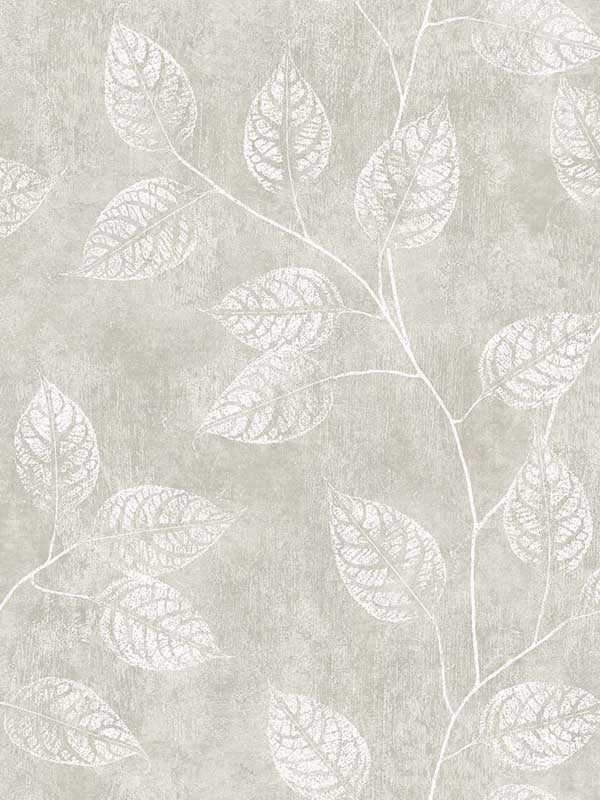 Branch Trail Silhouette fabric in grey taupe color - pattern number EW10807 - by Seabrook in the White Heron collection
