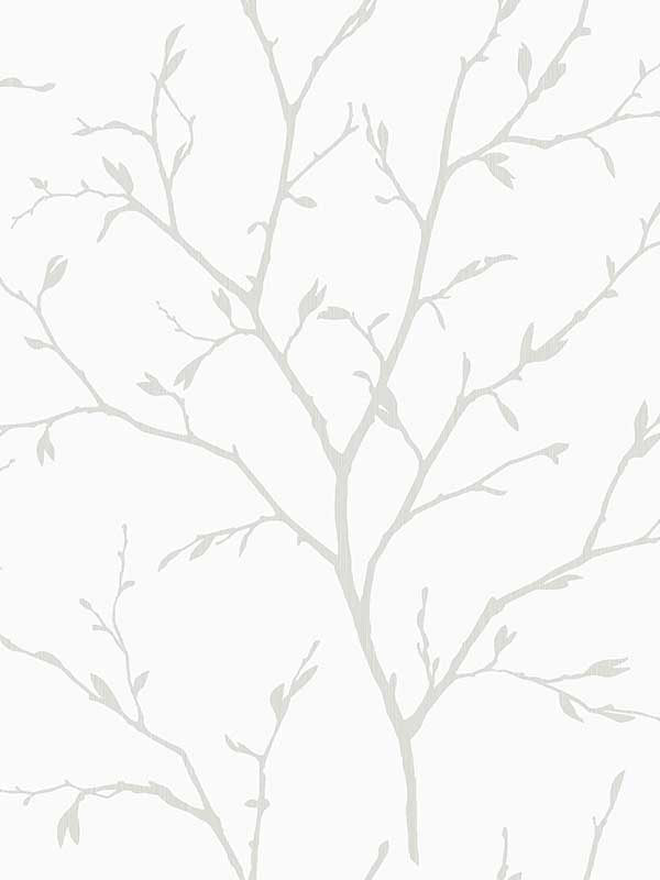 Branching Out wallpaper in winter grey color - pattern number EW11808 - by Seabrook in the White Heron collection