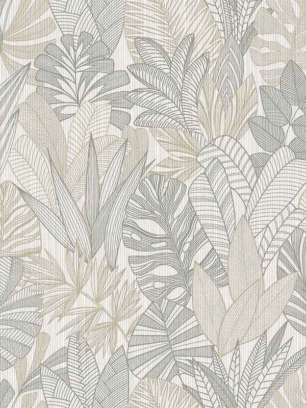 Cornish Lane wallpaper in sable color - pattern number WTK20207.WT.0 - by Winfield Thybony in the The Keys collection