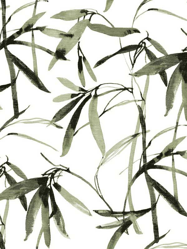 Bamboo Ink fabric in green and black color - pattern number BW3842 - by York in the Inspired by Color Earthy Tones collection