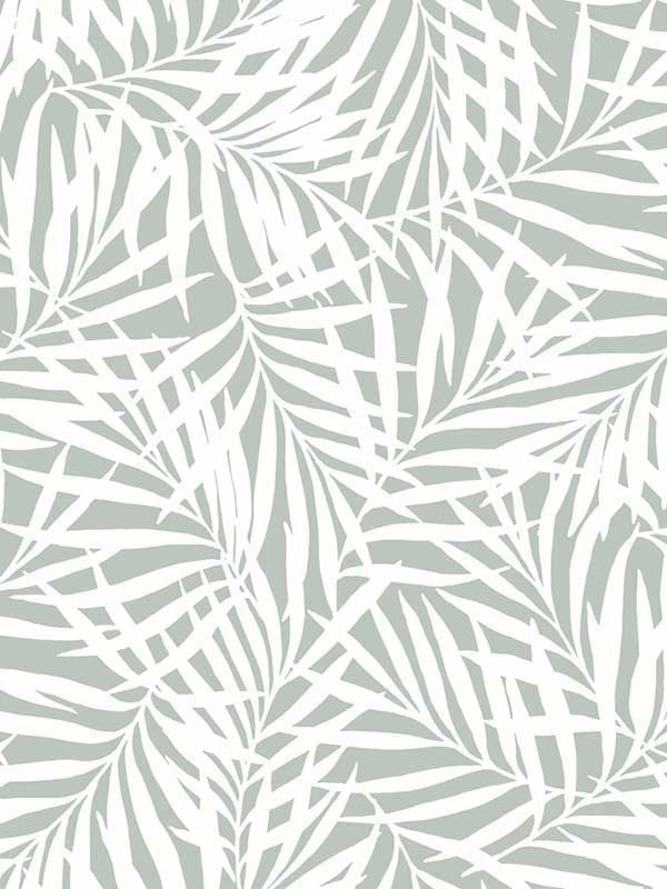 Oahu Fronds fabric in light green and white color - pattern number CV4434 - by York in the Inspired by Color Earthy Tones collection