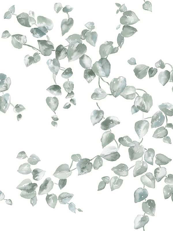 Creeping Fig Vine fabric in sage color - pattern number FH4037 - by York in the Inspired by Color Earthy Tones collection