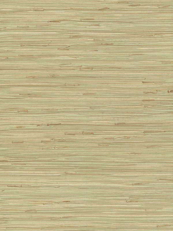 River Grass fabric in green color - pattern number NZ0780 - by York in the Inspired by Color Grasscloth II collection