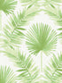 Calla Painted Palm fabric in green color - pattern number 4121-26911 - by A Street Prints in the Mylos collection