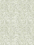 Elma Fiddlehead fabric in sage color - pattern number 4121-26922 - by A Street Prints in the Mylos collection