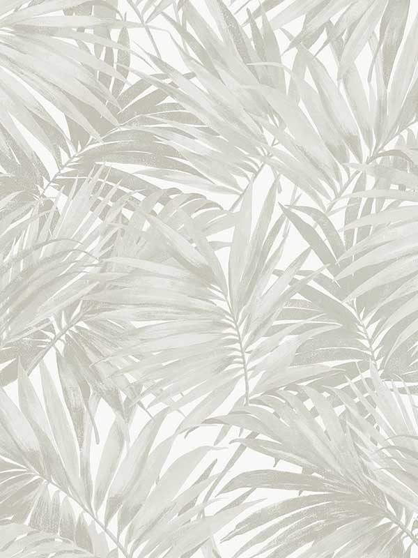 Cordelia Tossed Palms wallpaper in dove grey color - pattern number LN40707 - by Seabrook in the Lillian August Coastal Haven collection