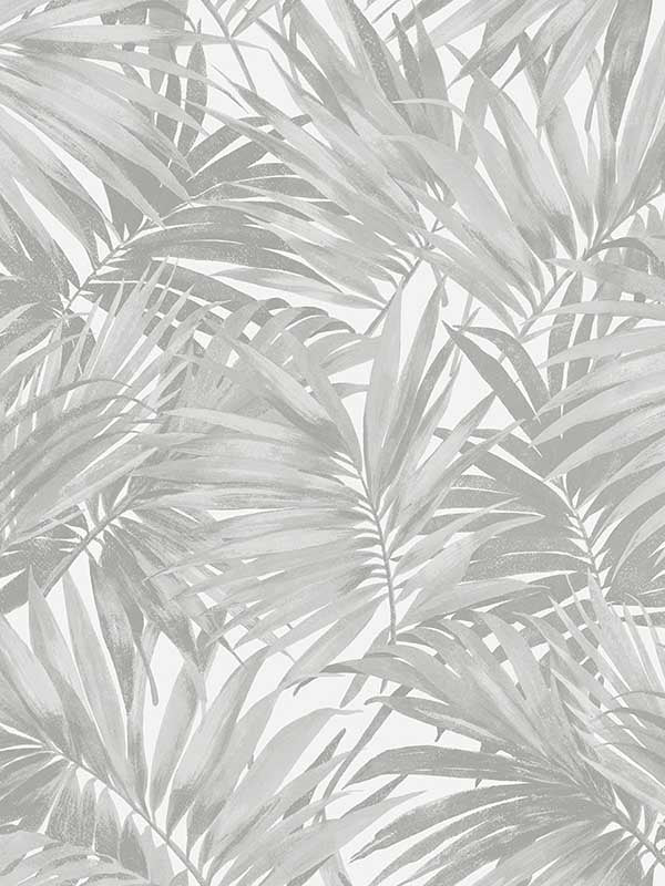Cordelia Tossed Palms wallpaper in argos grey color - pattern number LN40708 - by Seabrook in the Lillian August Coastal Haven collection