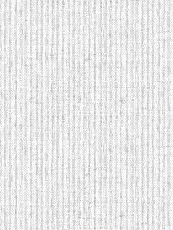 Kaya Faux Paperweave wallpaper in dove color - pattern number LN41300 - by Seabrook in the Lillian August Coastal Haven collection