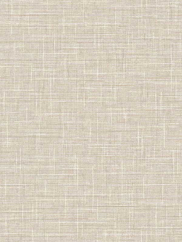 Grasmere Weave fabric in light toffee color - pattern number TG60134 - by Dupont in the Tedlar Textures collection