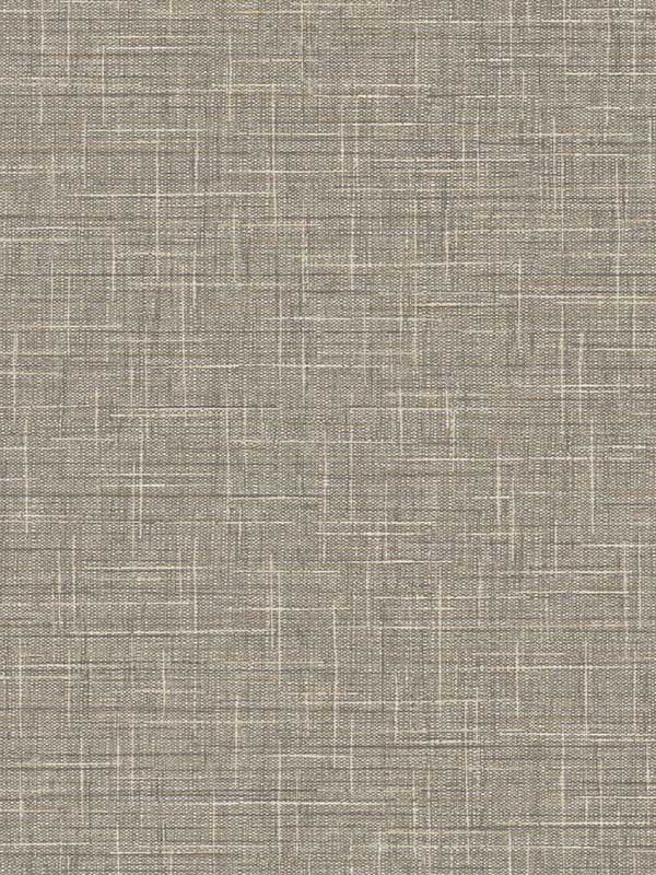 Grasmere Weave fabric in cappuccino color - pattern number TG60143 - by Dupont in the Tedlar Textures collection