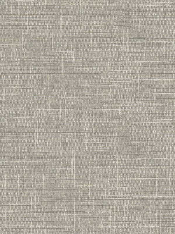 Grasmere Weave fabric in oyster color - pattern number TG60144 - by Dupont in the Tedlar Textures collection