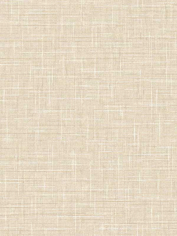 Grasmere Weave fabric in toast color - pattern number TG60148 - by Dupont in the Tedlar Textures collection