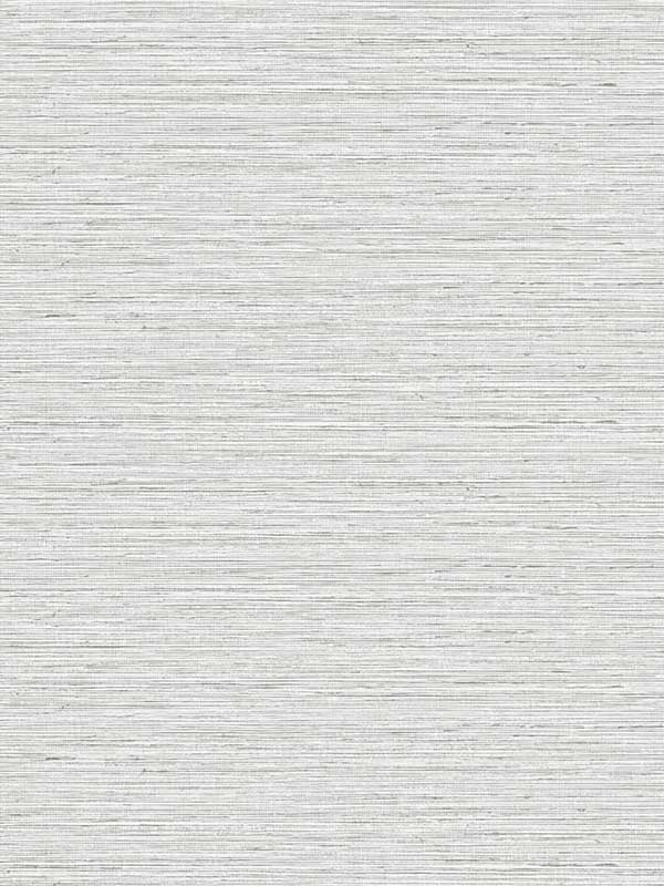 Edmond Faux Sisal fabric in whale color - pattern number TG60315 - by Dupont in the Tedlar Textures collection