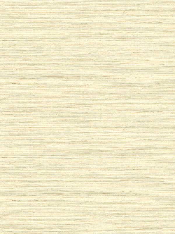 Edmond Faux Sisal fabric in sunkissed color - pattern number TG60337 - by Dupont in the Tedlar Textures collection