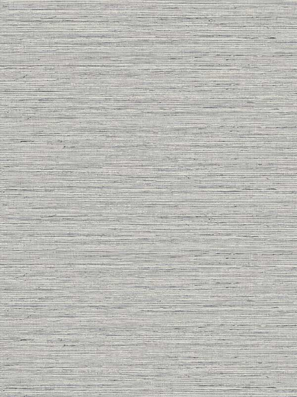 Edmond Faux Sisal fabric in coal color - pattern number TG60352 - by Dupont in the Tedlar Textures collection