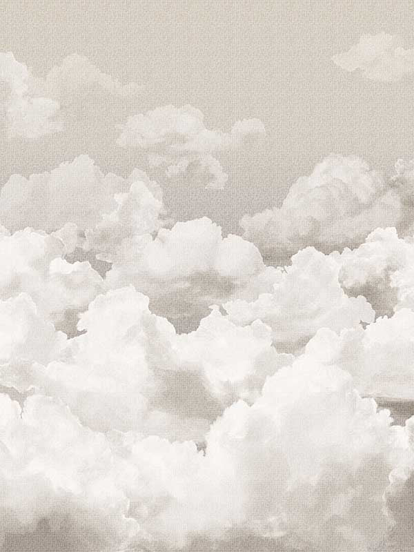 Clouds 4 Panel fabric in taupe grey color - pattern number 26783 - by Galerie in the Crafted collection