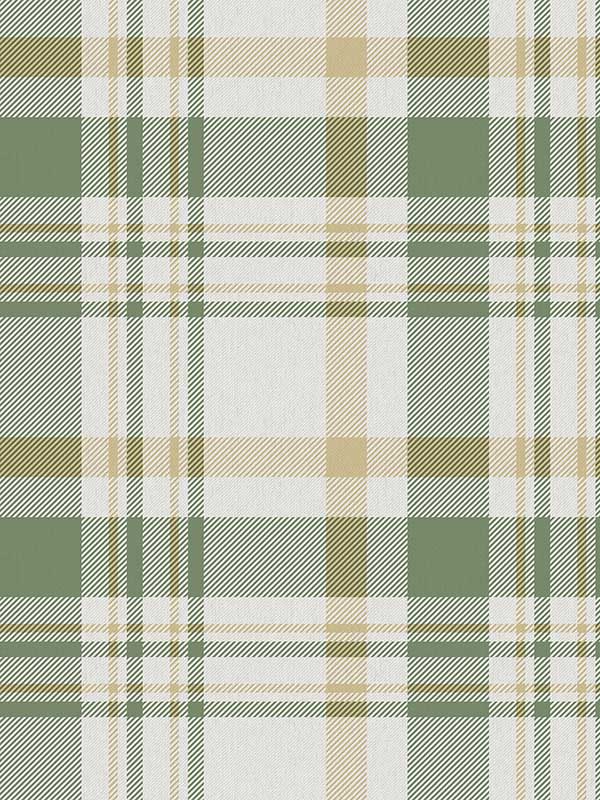 Plaid fabric in green color - pattern number 19065 - by Galerie in the Spring Blossom collection