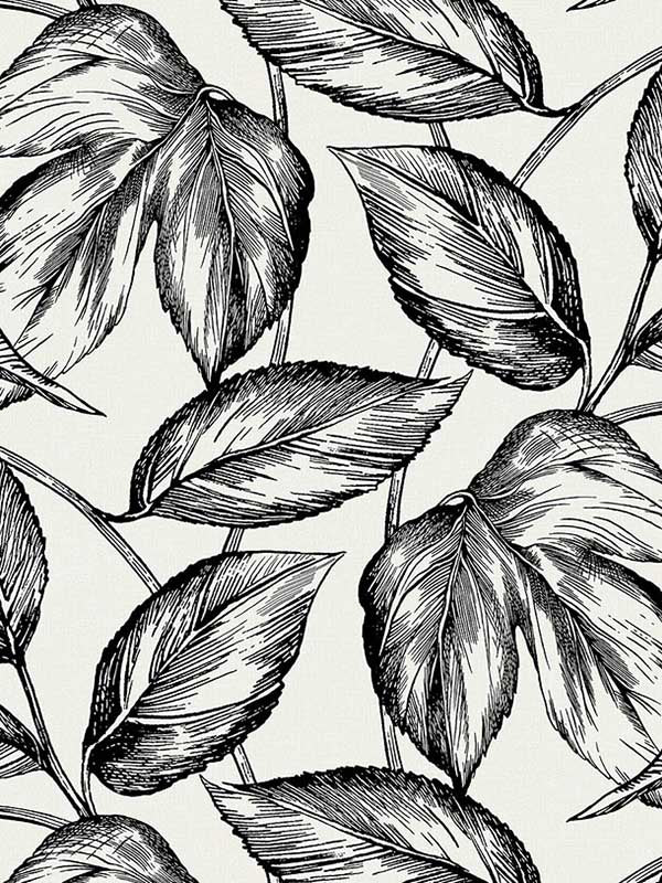 Beckett Sketched Leaves fabric in volcanic black color - pattern number SC20000 - by Seabrook in the Summer House Seabrook collection