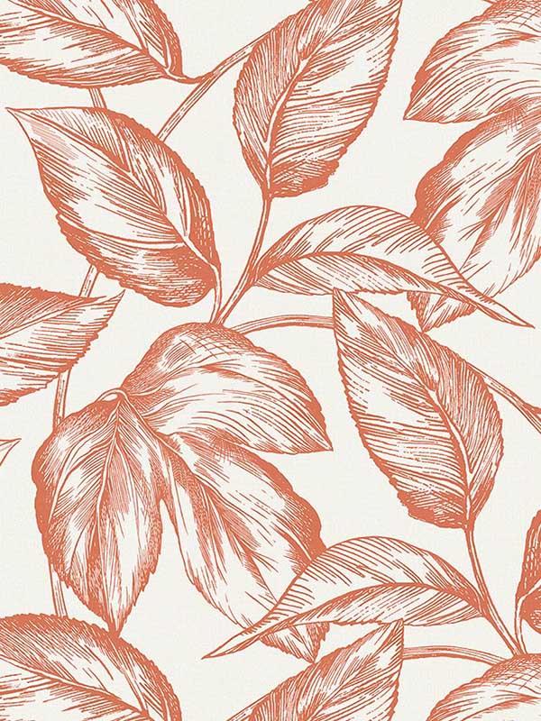 Beckett Sketched Leaves fabric in rich coral color - pattern number SC20001 - by Seabrook in the Summer House Seabrook collection