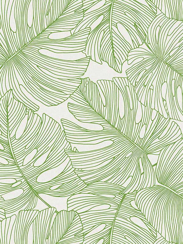 Tarra Monstera Leaf fabric in hill green color - pattern number SC20204 - by Seabrook in the Summer House Seabrook collection