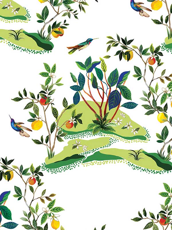 Citrus Hummingbird fabric in white color - pattern number DBW9001 - by Wallquest in the West Boulevard by Daisy Bennett collection