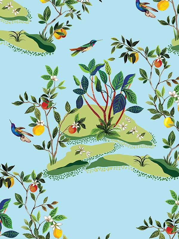 Citrus Hummingbird wallpaper in sky blue color - pattern number DBW9003 - by Wallquest in the West Boulevard by Daisy Bennett collection