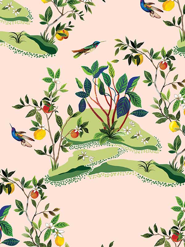 Citrus Hummingbird wallpaper in blush color - pattern number DBW9004 - by Wallquest in the West Boulevard by Daisy Bennett collection
