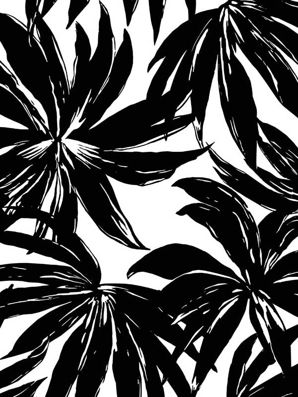 Palma fabric in black color - pattern number DBW9111 - by Wallquest in the West Boulevard by Daisy Bennett collection