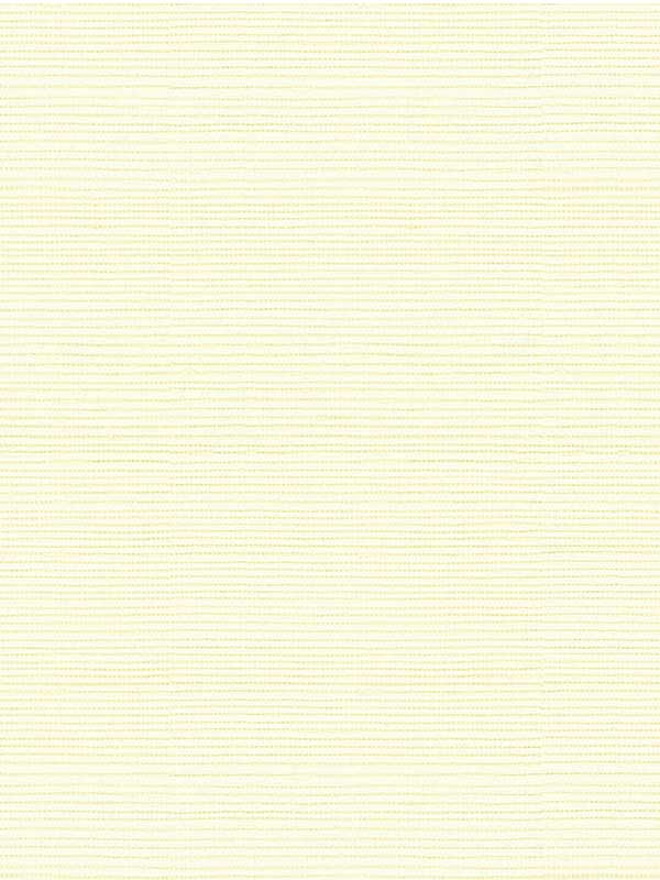 Sisal and Cotton Grasscloth wallpaper in neutral color - pattern number BR-69430.049.0 - by Brunschwig and Fils in the collection