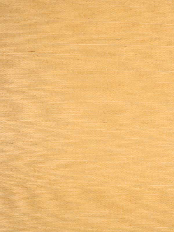 Sisal fabric in beige color - pattern number P8015145.22.0 - by Brunschwig and Fils in the  collection