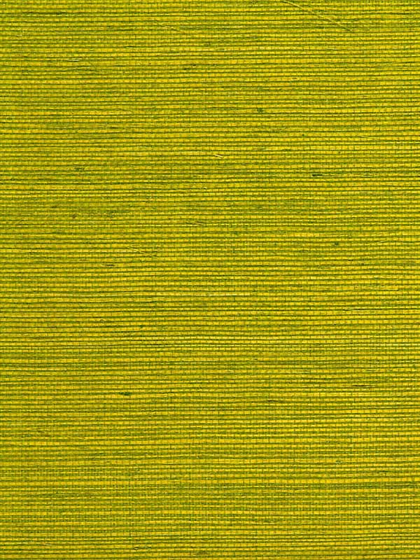 Sisal fabric in green beige multi color - pattern number P8015145.3.0 - by Brunschwig and Fils in the  collection