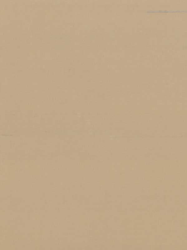 Seijun fabric in raffia color - pattern number P8015147.1016.0 - by Brunschwig and Fils in the  collection