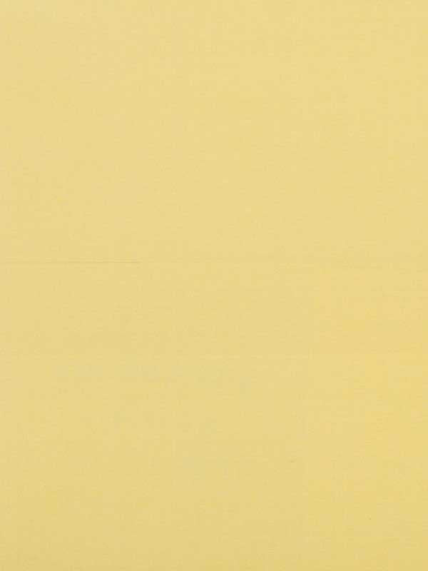 Seijun fabric in maize color - pattern number P8015147.416.0 - by Brunschwig and Fils in the  collection
