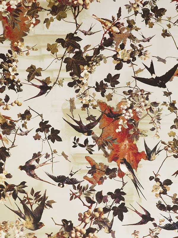 Hirondelles fabric in printemps color - pattern number WH 000013306 - by Scalamandre in the collection
