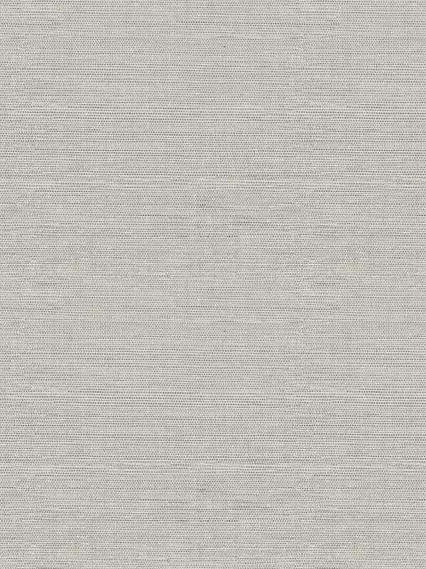 Agave Faux Grasscloth wallpaper in stone color - pattern number 4143-24279 - by A Street Prints in the Botanica collection